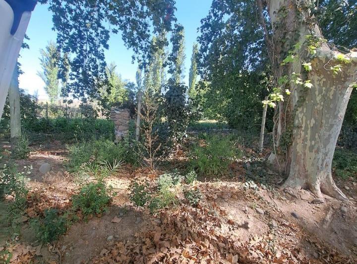 Terreno · 1733m²