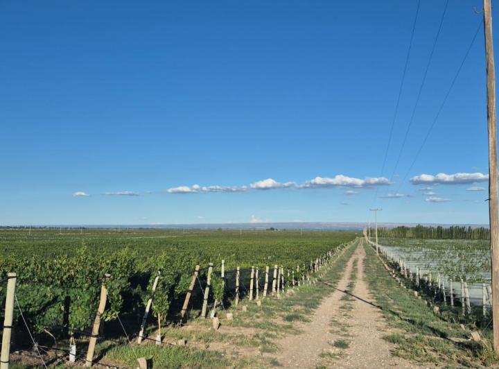 Campo · 42ha · 3 Ambientes