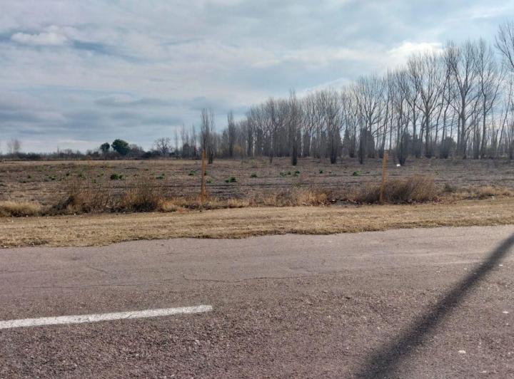 Terreno · 2250m²