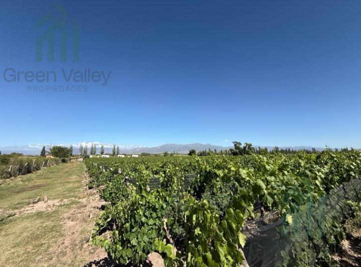 Campo · 45000m²
