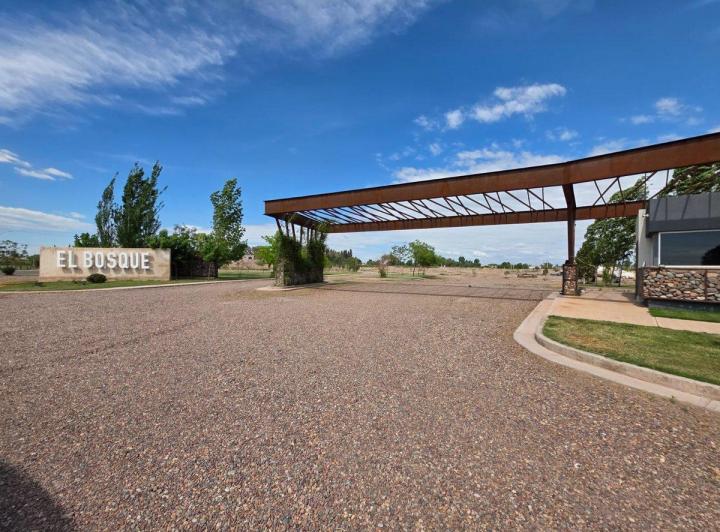 Terreno · 311m²