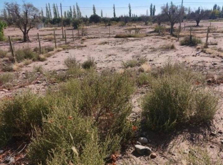 Terreno · 503m²