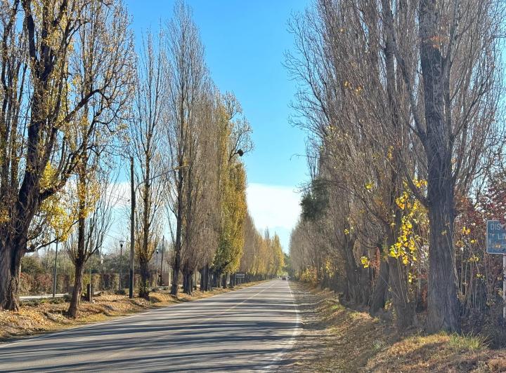 Terreno · 600m²
