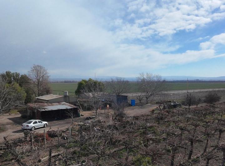 Campo · 10ha