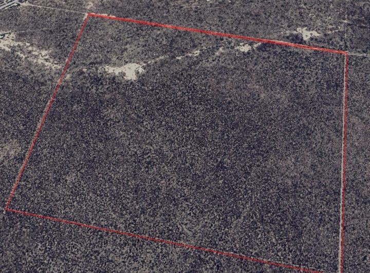 Campo · 120ha
