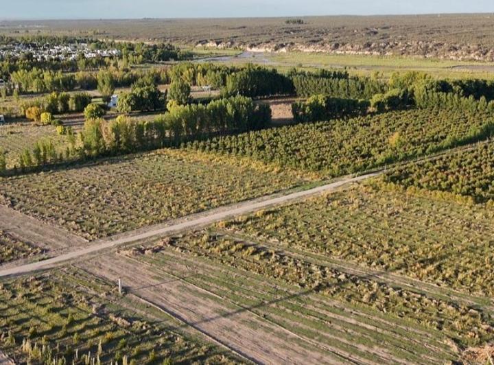 Terreno · 3000m²