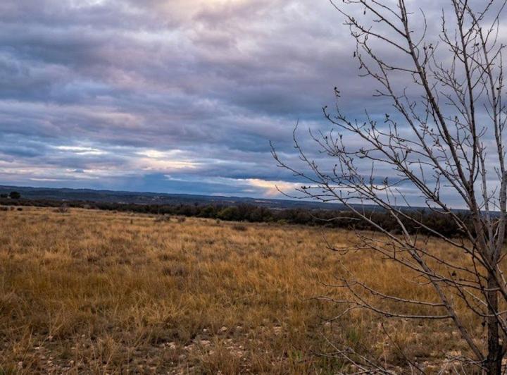 Campo · 15ha