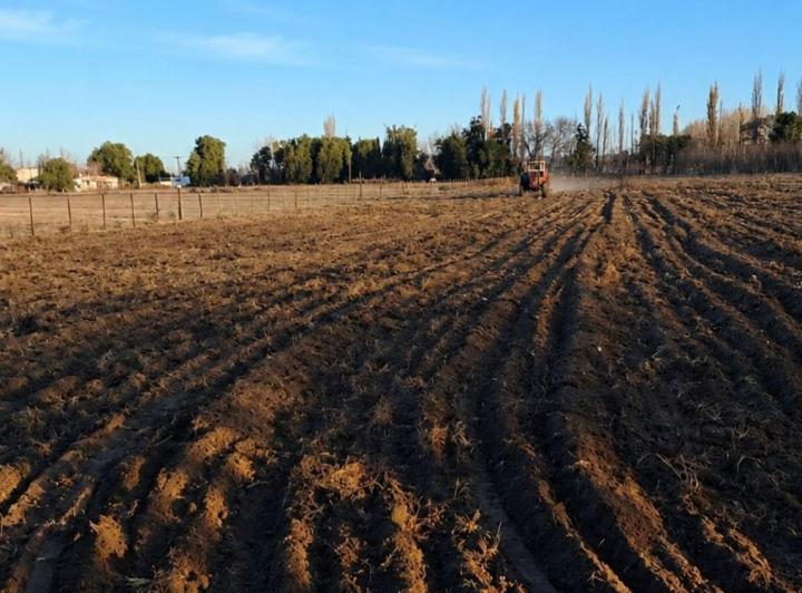 Terreno · 10550m²