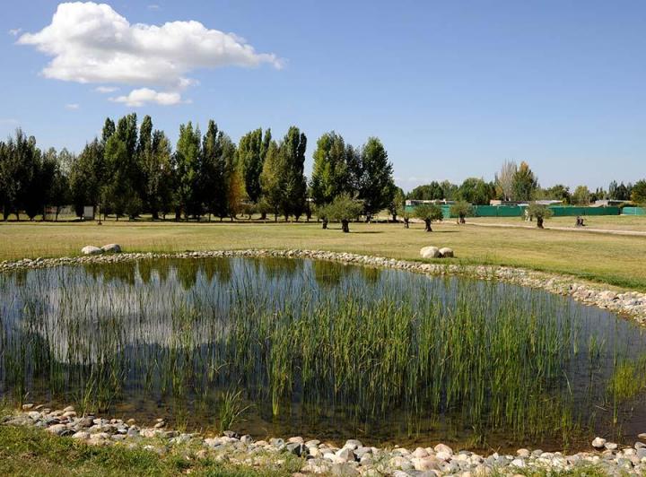 Terreno · 1000m²