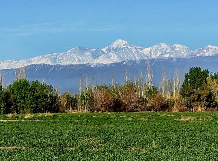 Campo · 20ha