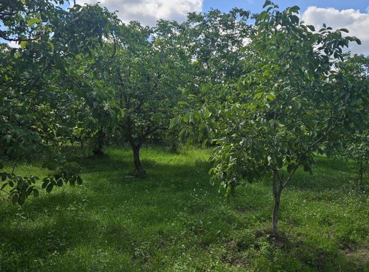 Campo · 3528m²