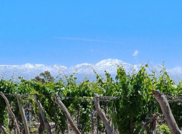 Bodega-Galpón · 200m² · 6 Ambientes · 2 Cocheras