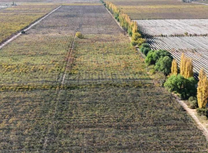Campo · 150000m²