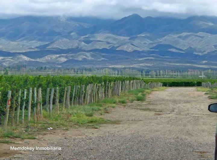 Campo · 275m²