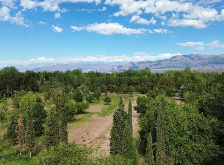 Terreno · 650m²