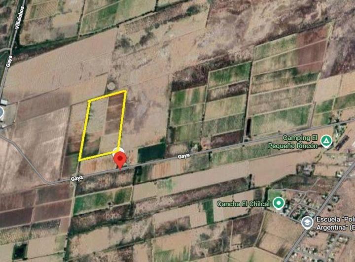 Campo · 80ha