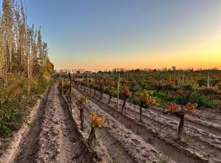 Terreno · 50000m²