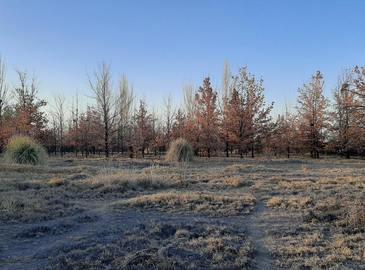 Terreno · 10000m²