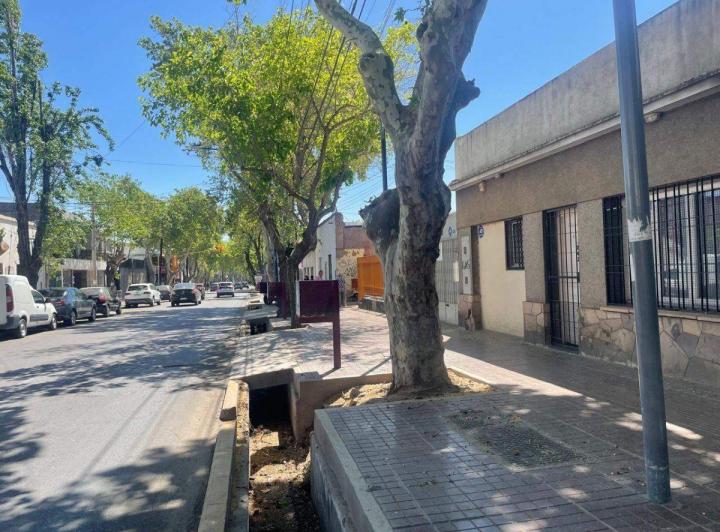 Terreno · 1240m²