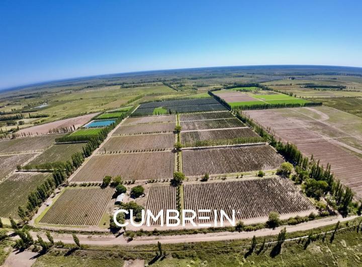 Campo · 830000ha
