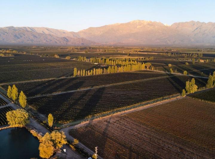 Campo · 150ha