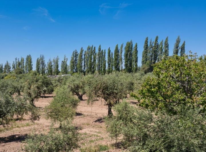 Terreno · 760m²