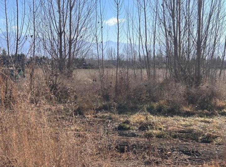 Terreno · 497m²