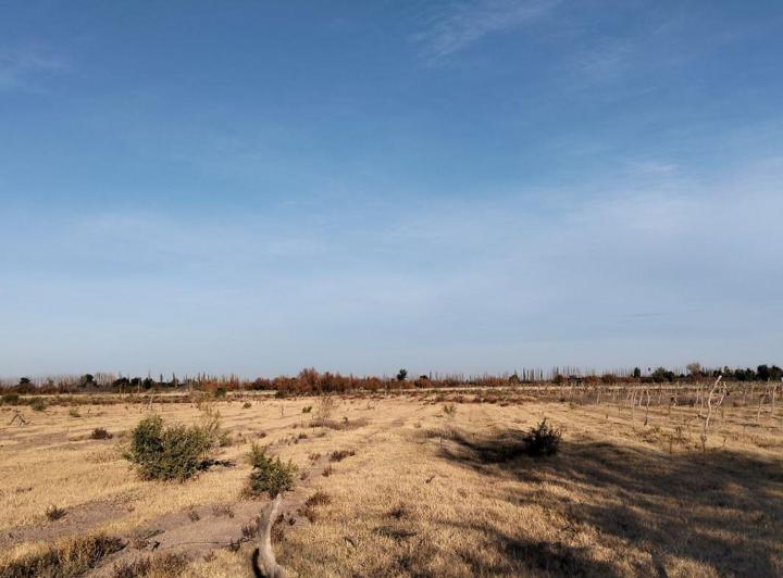 Campo · 55ha