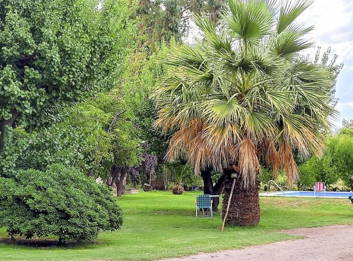 Campo · 273m²