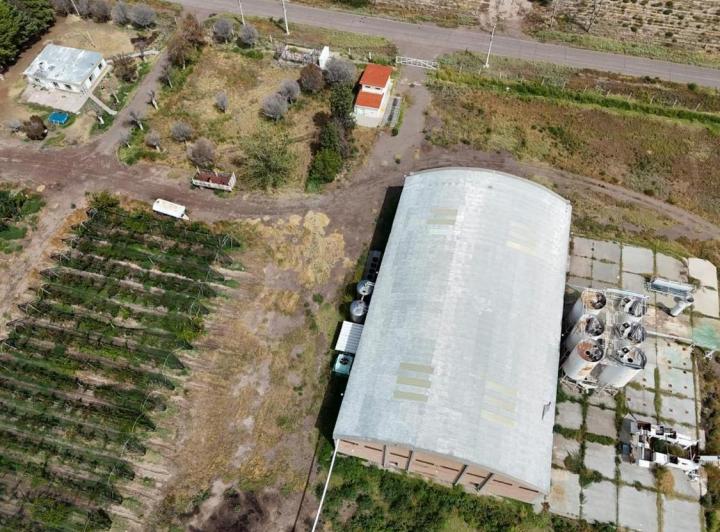 Bodega-Galpón