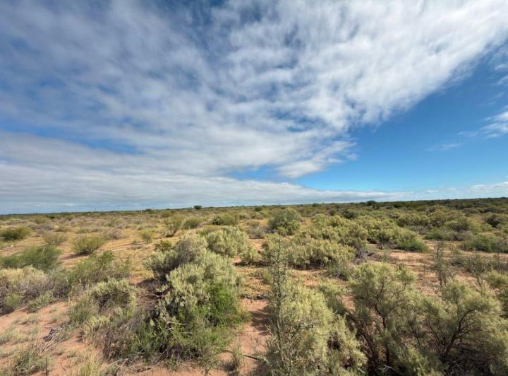Campo · 350m²