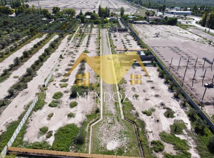 Terreno · 346m²