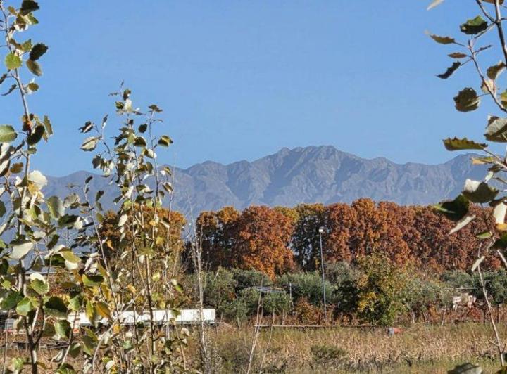 Terreno · 22371m²