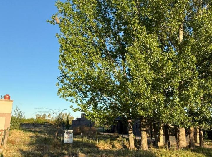 Terreno · 1000m²