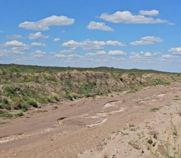 Campo · 487m²