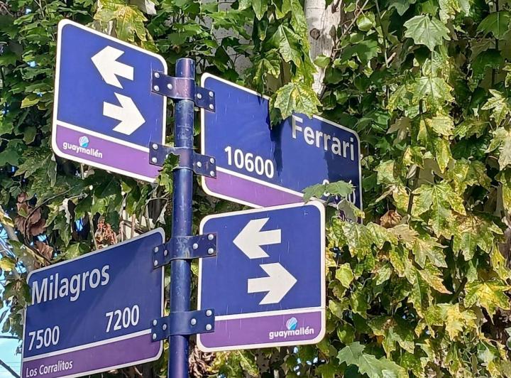 Terreno · 2046m²