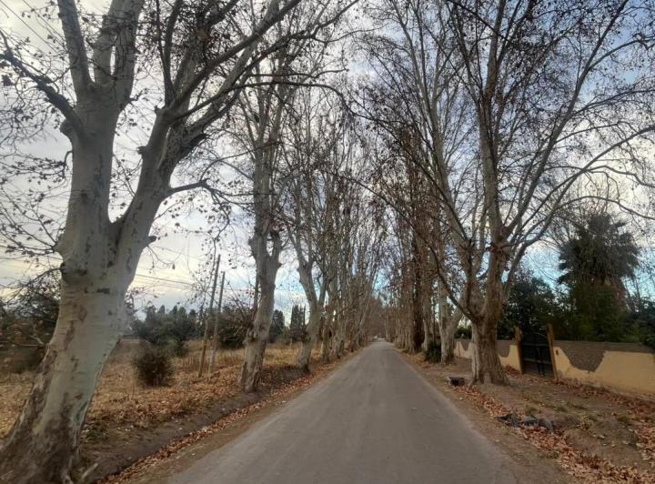Terreno · 10000m²