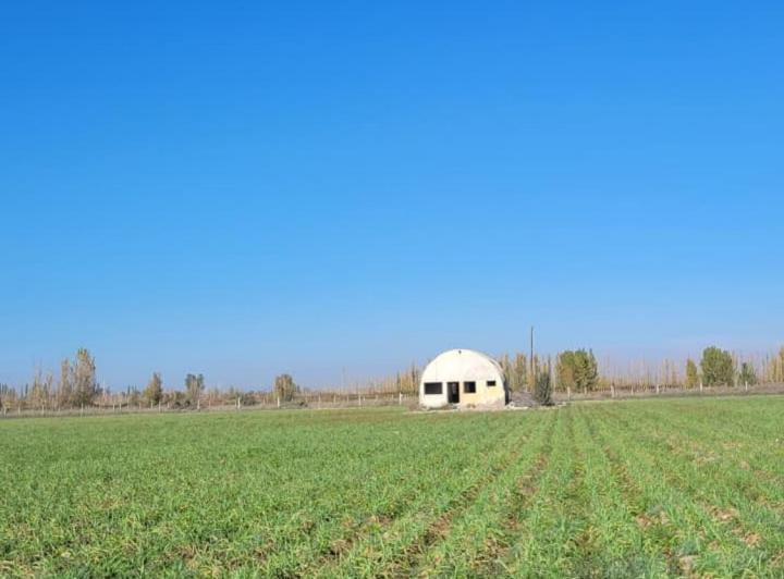 Campo · 25ha