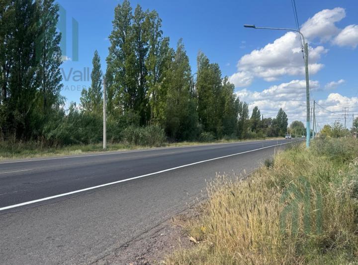 Terreno · 10000m²
