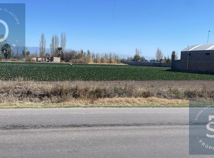 Terreno · 1200m²