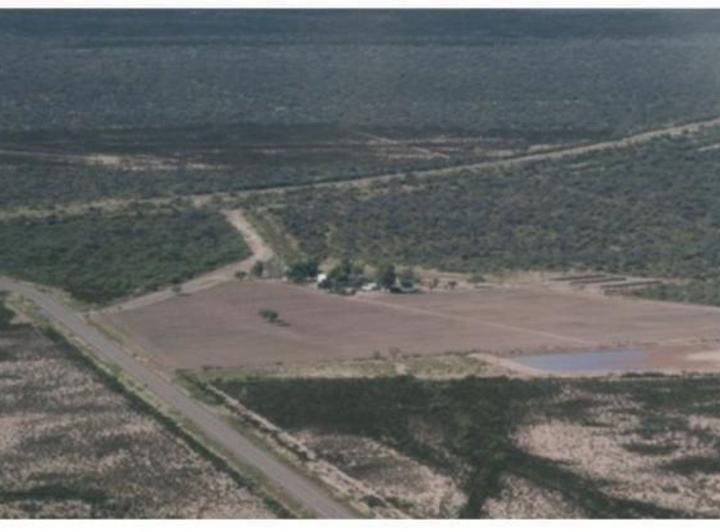 Campo · 80ha