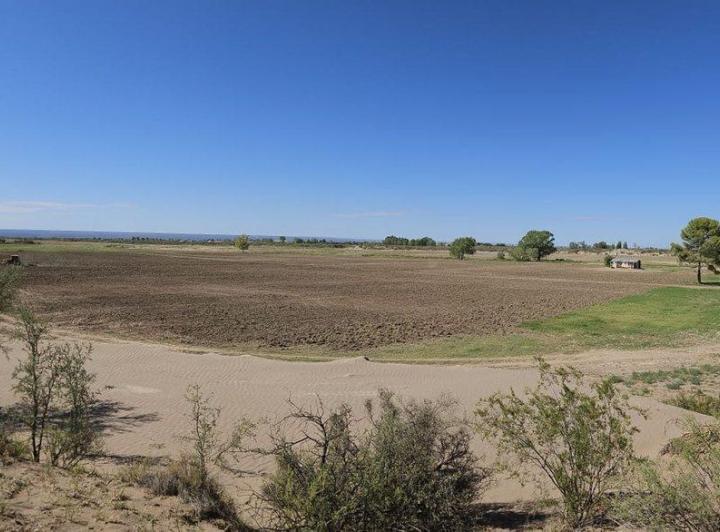 Campo · 120ha