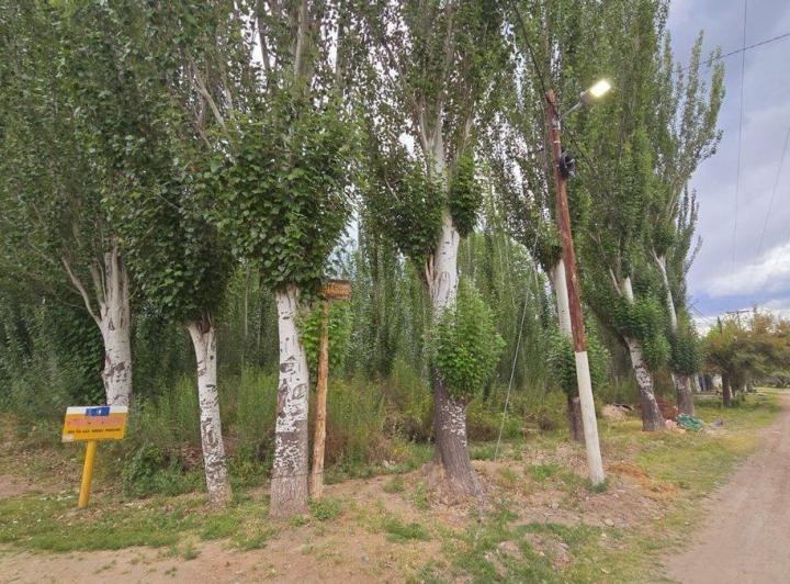 Terreno · 1741m²