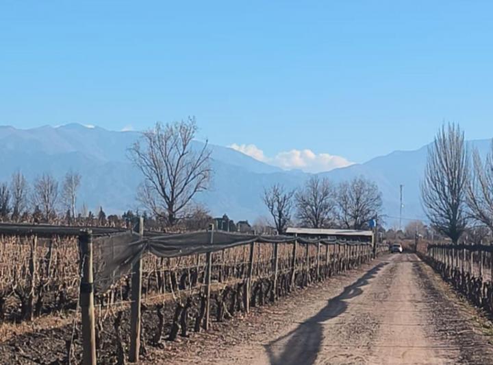 Campo · 146ha