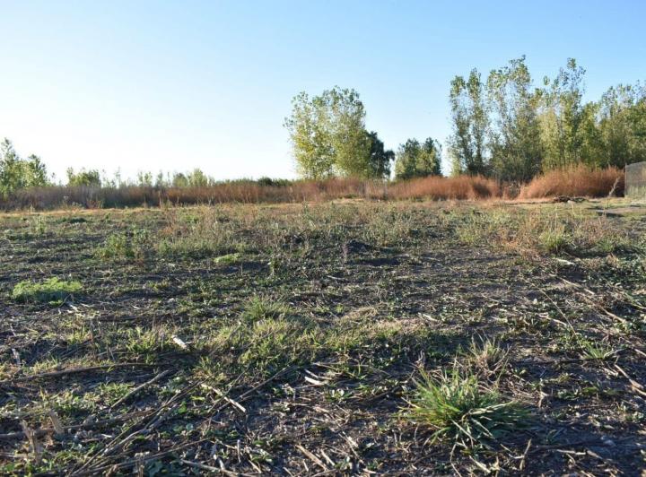 Terreno · 2000m²