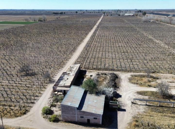 Campo · 80ha