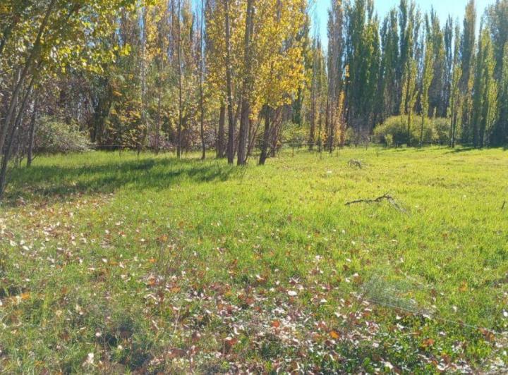 Campo · 30000m²
