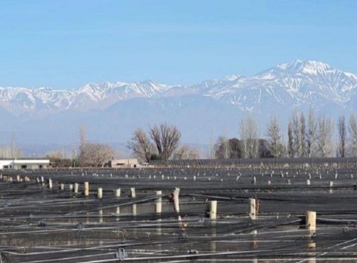 Campo · 10ha