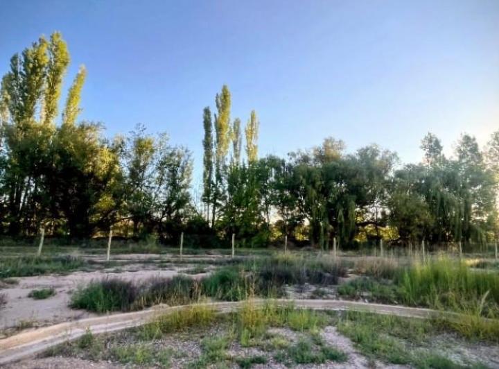Terreno · 500m²