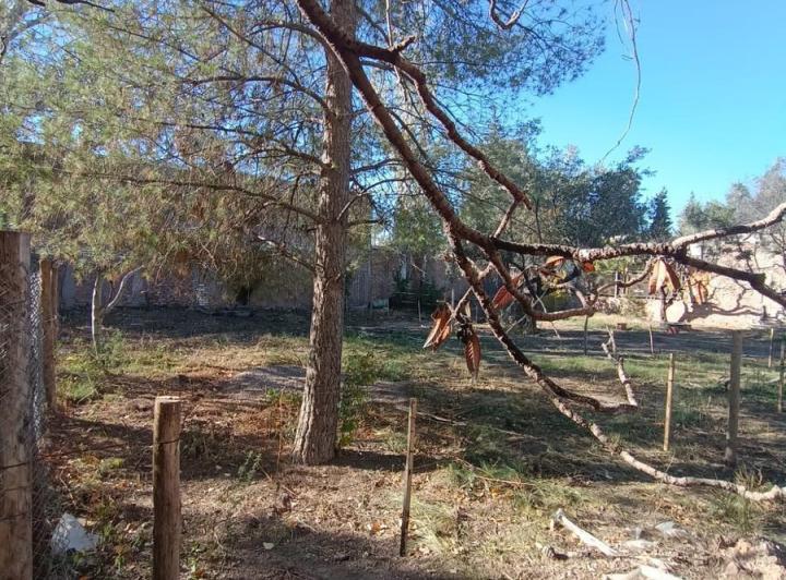 Terreno · 450m²